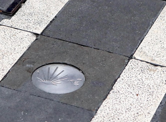 20170518-_10I0977 small5