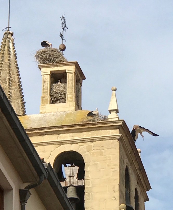 May 15_TP_IMG_1090-2 cropped small5