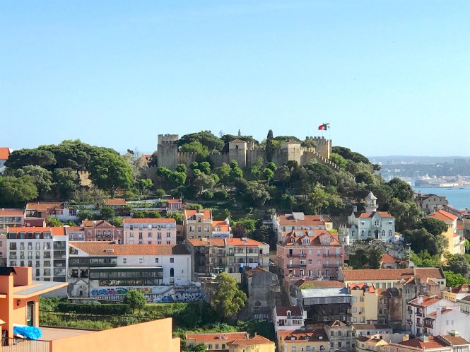 May1_TP_IMG_4352 copy