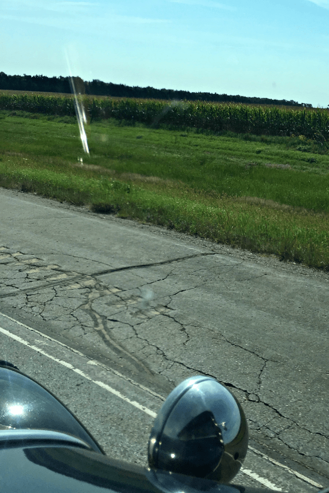 Fields through the glass